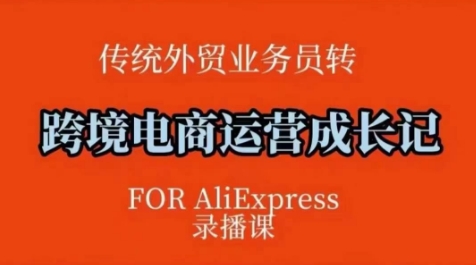 跨境电商速卖通运营课，​运营方法论+后台实操，逻辑清晰-米落轻创
