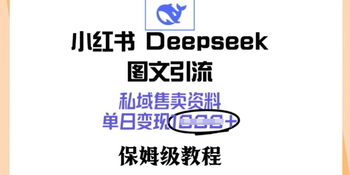 小红书Deepseek图文引流，私域售卖资料，单日变现多张，保姆级教程-米落轻创