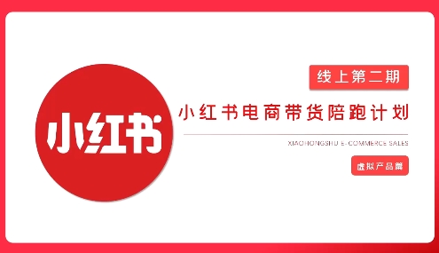 2025小红书虚拟电商实战课，从0到1打造无货源店铺，AI+爆款笔记轻松变现-米落轻创