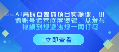 AI高阶自媒体项目实操课，讲透账号运营底层逻辑，从发布视频到规避违规一网打尽-米落轻创