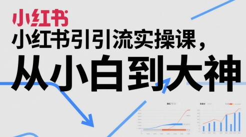 小红书引流实操课，从小白到大神-米落轻创