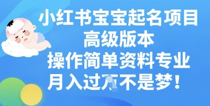 小红书宝宝起名项目高级版本，操作简单，资料专业，月入过W-米落轻创