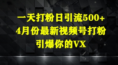 一天打粉日引流500+，4月份最新视频号打粉，引爆你的微信-米落轻创