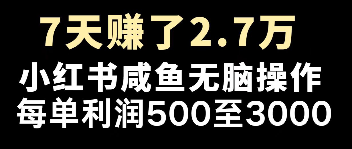 （14183期）最赚钱项目之一，2025爆火，逆风翻盘！-米落轻创