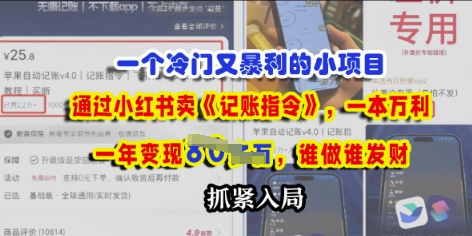 一个冷门需求，通过小红书卖《记账指令》，一本万利，谁做谁发，抓紧入局-米落轻创