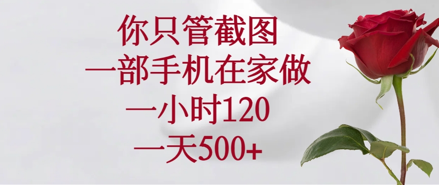 （14248期）你只管截图，一部手机在家做，一小时120，一天500+-米落轻创