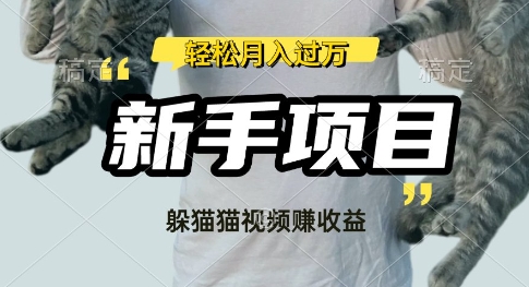 利用老外躲猫猫大赛视频，挣分成收益，操作简单，新手小白，轻松月入过W-米落轻创