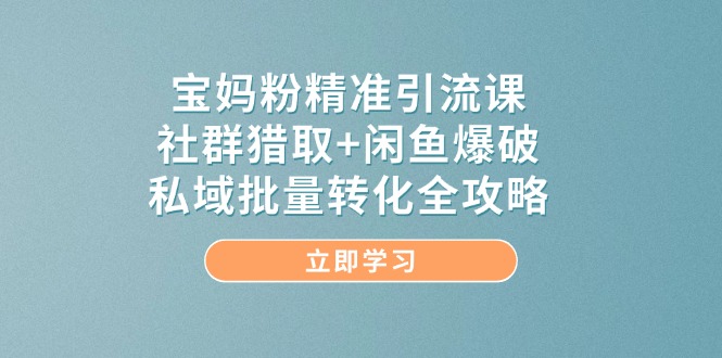（14820期）宝妈粉精准引流课，社群猎取+闲鱼爆破，私域批量转化全攻略-米落轻创