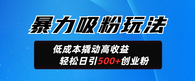 暴力吸粉玩法，日引500+精准创业粉，日变现轻松多张-米落轻创