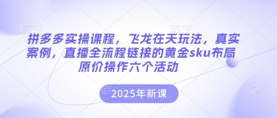 拼多多实操课程，飞龙在天玩法，真实案例，直播全流程链接的黄金sku布局原价操作六个活动-米落轻创
