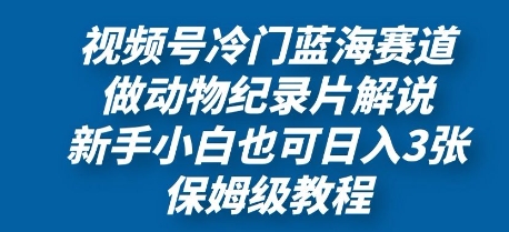 视频号冷门蓝海赛道，做动物纪录片解说，新手小白也日入3张，保姆级教程-米落轻创