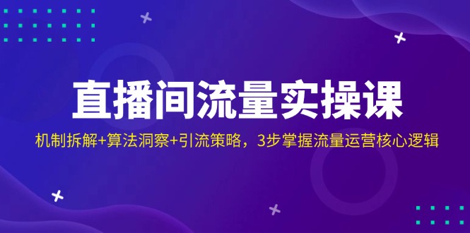 （14122期）直播间流量实操课：机制拆解+算法洞察+引流策略，3步掌握流量运营核心逻辑-米落轻创