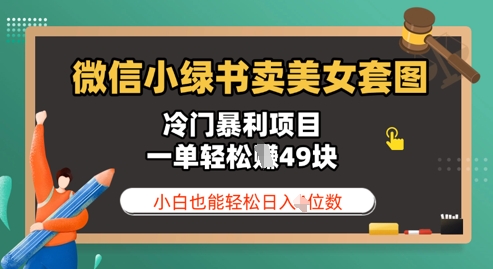 微信小绿书卖美女套图，冷门暴利项目，一单轻松挣49块，小白也能轻松日入3位数-米落轻创