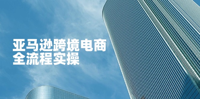 （14252期）亚马逊跨境电商全流程实操，教你从零开始，掌握店铺运营与广告技巧-米落轻创