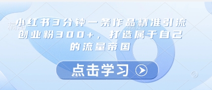 小红书3分钟一条作品精准引流创业粉300+，打造属于自己的流量帝国-米落轻创