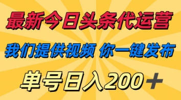 最新今日头条代运营，我们提供视频，你一键发布，单号日入200+【揭秘】-米落轻创