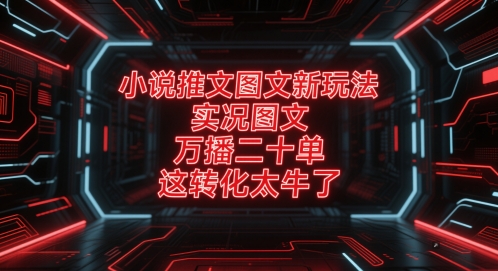 小说推文图文新玩法，实况图文，万播二十单，这转化太牛了！-米落轻创
