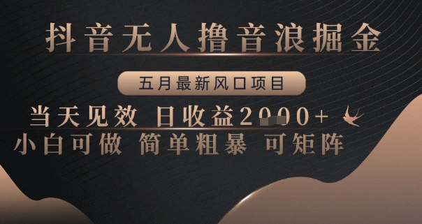 抖音无人撸音浪掘金，五月最新风口项目，当天见效，日收益多张，小白可做简单粗暴可矩阵【揭秘】-米落轻创