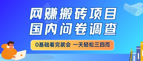 网创搬砖项目，国内问卷调查，小白轻松上手，一天三四张的也不难，干就完了【揭秘】-米落轻创