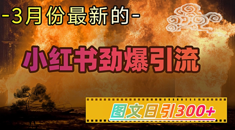 小红书超劲爆引流手段，图文日引300+轻松变现1W-米落轻创