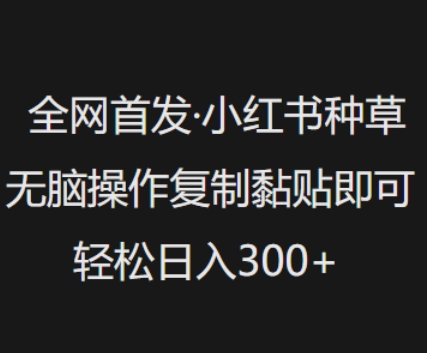 全网首发，小红书种草无脑操作，复制黏贴即可，轻松日入3张-米落轻创