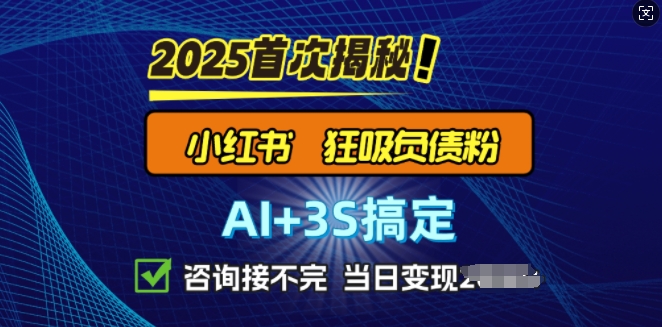2025引流天花板：最新小红书狂暴负债粉思路，咨询接不断，当日入多张-米落轻创