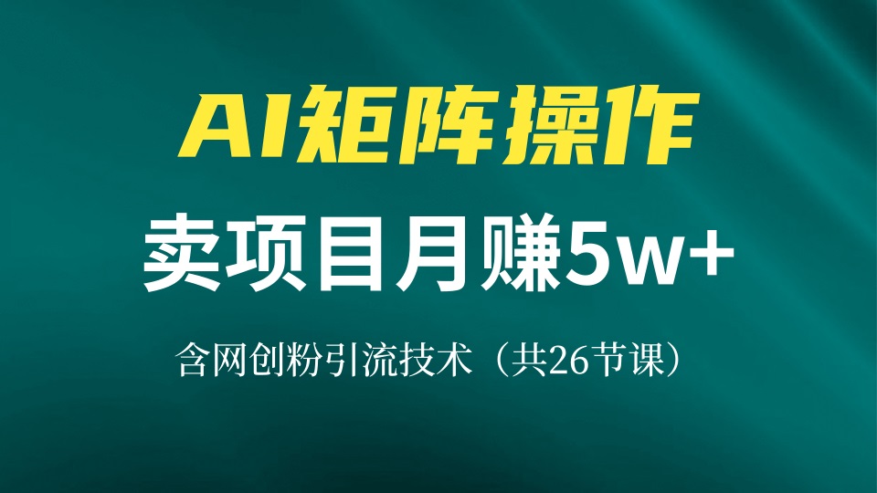 （13335期）网创IP打造课，借助AI卖项目月赚5万+，含引流技术（共26节课）-米落轻创