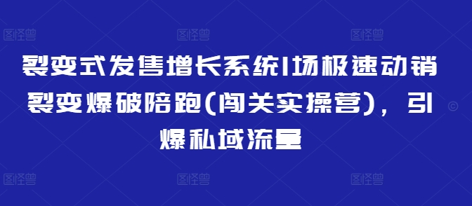 裂变式发售增长系统1场极速动销裂变爆破陪跑(闯关实操营)，引爆私域流量-米落轻创