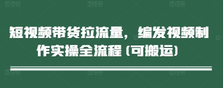 短视频带货拉流量，编发视频制作实操全流程(可搬运)-米落轻创