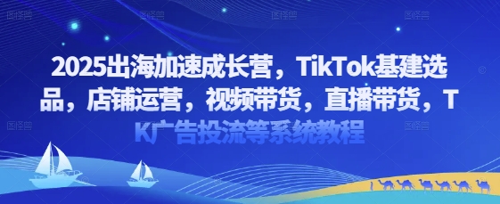 2025出海加速成长营，TikTok基建选品，店铺运营，视频带货，直播带货，TK广告投流等系统教程-米落轻创