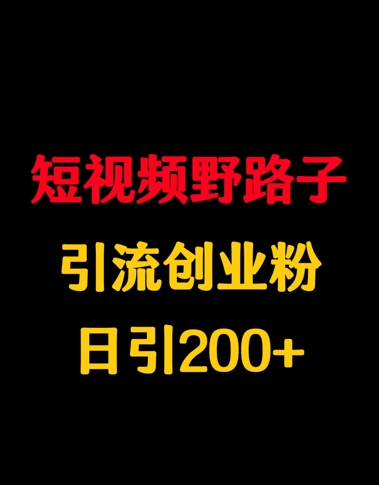 短视频野路子引流创业粉，日引200+-米落轻创