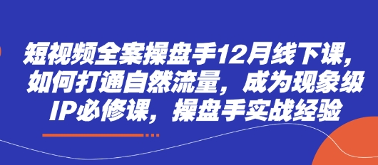 短视频全案操盘手12月线下课，如何打通自然流量，成为现象级IP必修课，操盘手实战经验-米落轻创