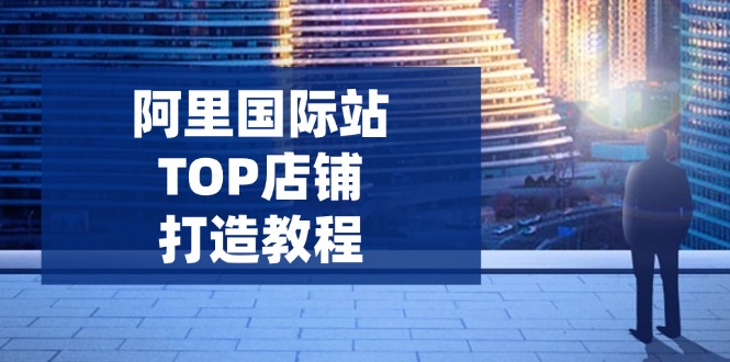 （14269期）阿里国际站TOP店铺打造教程：涵盖平台到高阶，解决运营难题，提升询盘-米落轻创