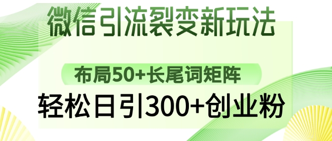 微信引流裂变新玩法：布局50+长尾词矩阵，轻松日引300+创业粉-米落轻创