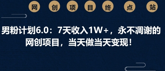 男粉计划6.0：7天收入1W+，永不凋谢的网创项目，当天做当天变现-米落轻创