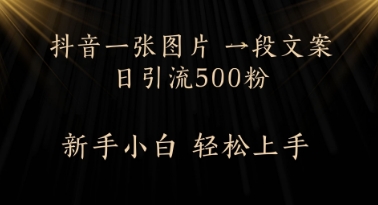 每天2分钟，抖音一张图片 一段文案日引流500粉-米落轻创