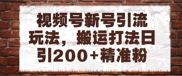 视频号新号引流玩法，搬运打法日引200+精准粉，可矩阵放大【揭秘】-米落轻创