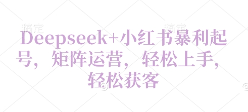 Deepseek+小红书暴利起号，矩阵运营，轻松上手，轻松获客-米落轻创