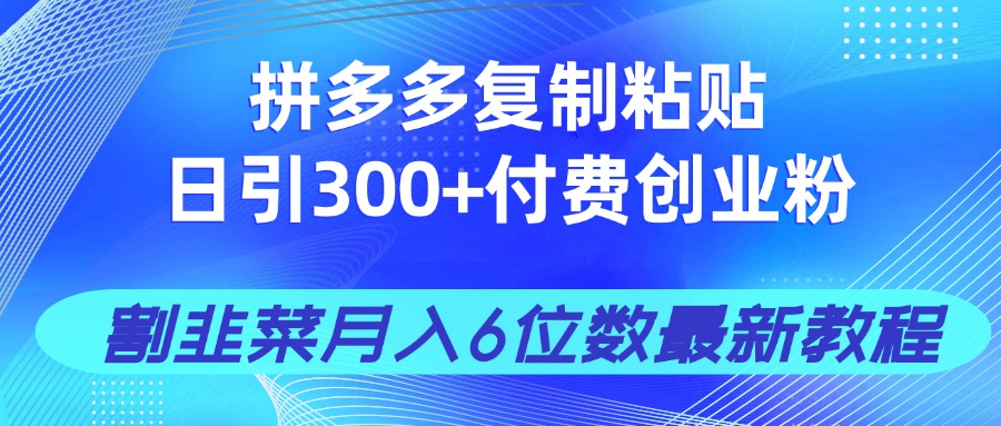 （14232期）拼多多复制粘贴日引300+付费创业粉，割韭菜月入6位数最新教程！-米落轻创
