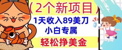 2个新项目，轻松挣美金， 1天收入89美刀，小白专属，干货分享-米落轻创