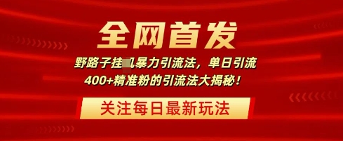 全网首发，野路子暴力引流法，单日引流400+精准粉的引流法大揭秘-米落轻创