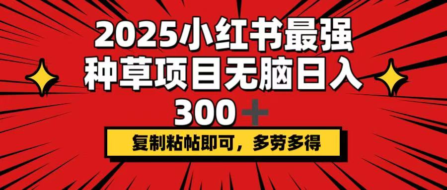 （14375期）2025小红书最强种草项目，无脑日入300+，复制粘帖即可，多劳多得-米落轻创
