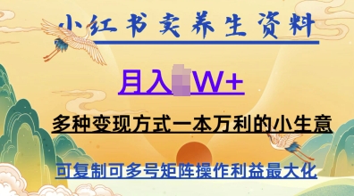 在小红书上卖养生资料，月入1w+，多种变现方式一本万利的小生意-米落轻创
