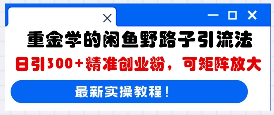 重金学的闲鱼野路子引流法，日引300+精准创业粉，可矩阵放大-米落轻创
