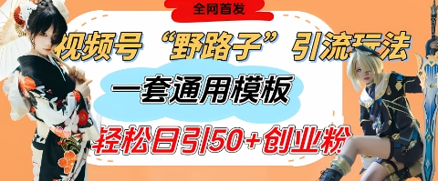 视频号“野路子”玩法，评论区疯狂截流，一套模板单日单号引流50+创业粉-米落轻创