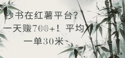 抄书在小红薯平台？平均一单30米，一天收益几张！-米落轻创