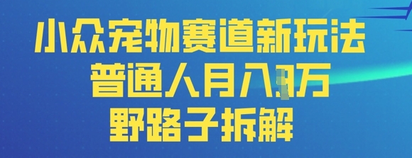 小众宠物赛道新玩法，普通人月入过1W的野路子拆解-米落轻创