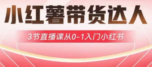 小红薯达人带货启航计划，3节直播课从0-1入门小红书-米落轻创