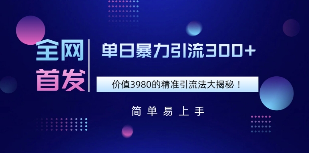 全网首发，价值3980单日暴力引流300+的精准引流法大揭秘-米落轻创