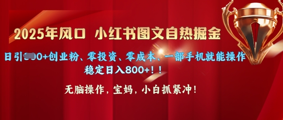 25年风口小红书图文掘金，日引300+创业粉、零投资、零成本、一部手机就能操作-米落轻创
